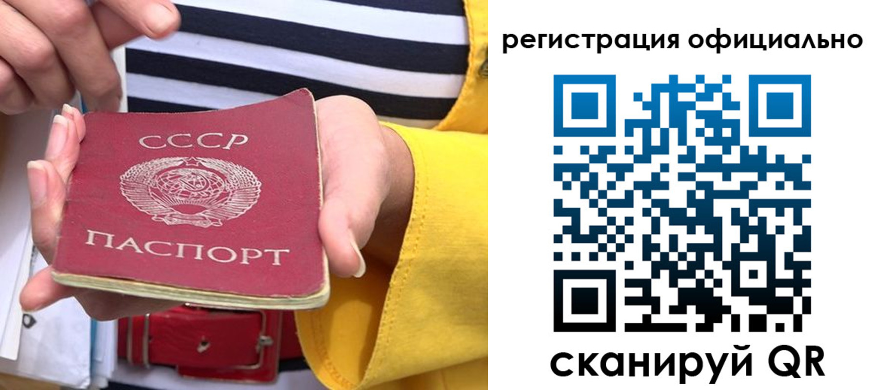 временная регистрация надежно в Волосово