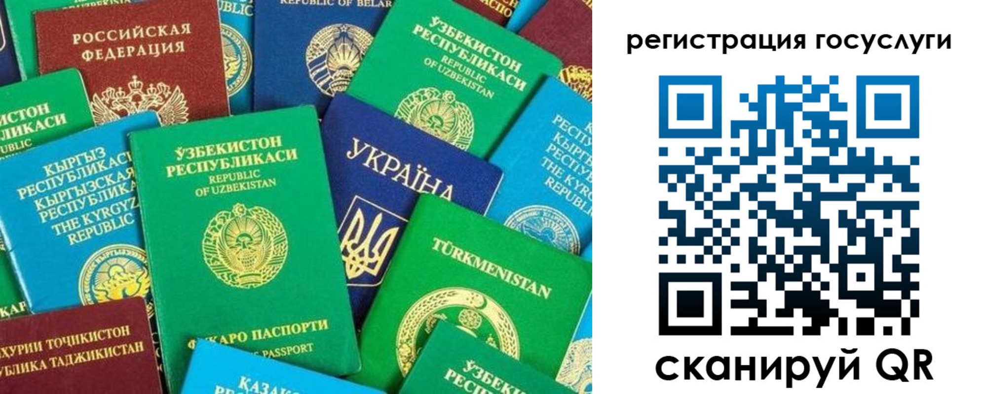 временная регистрация купить в Волосово